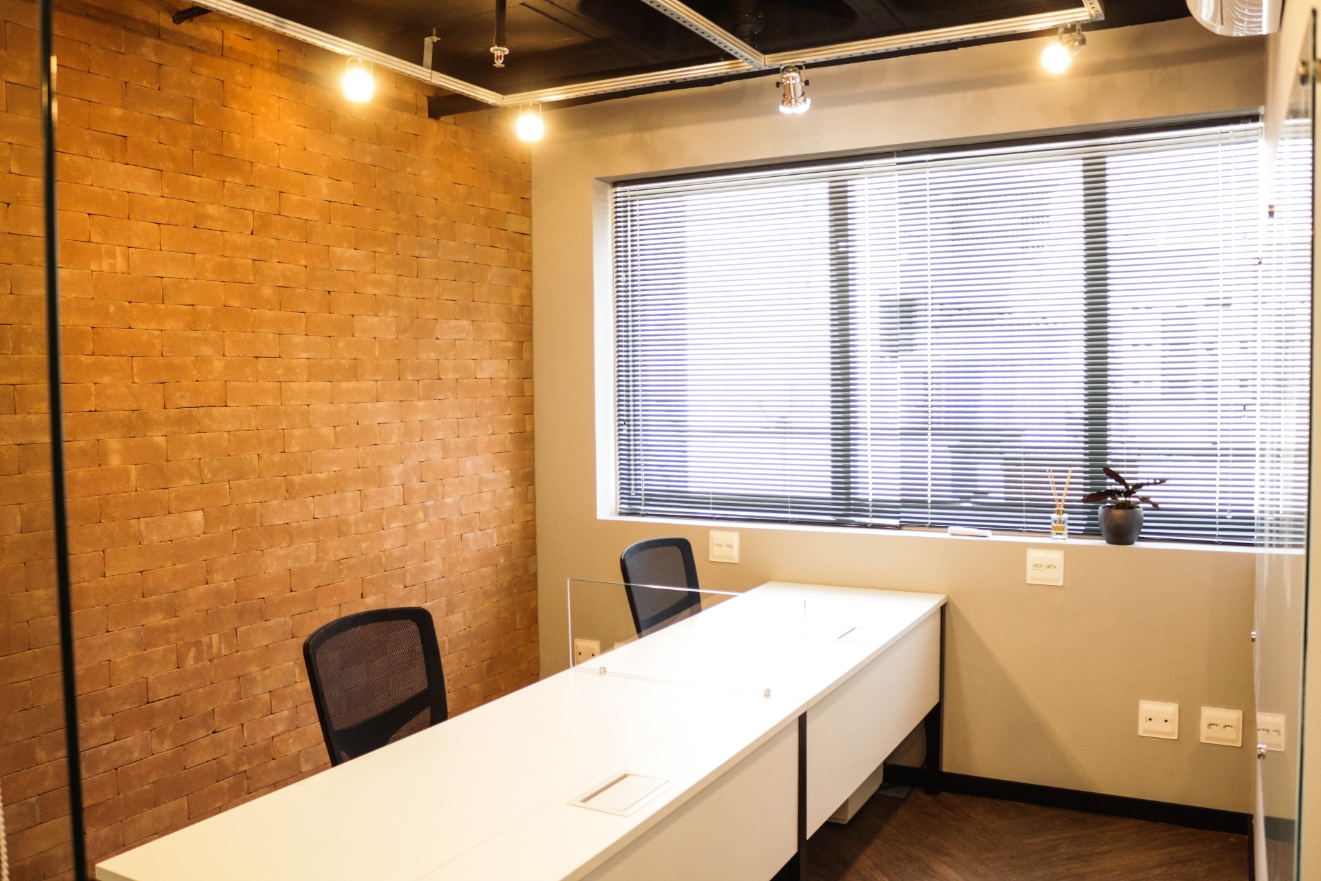 Curtis International — view 9